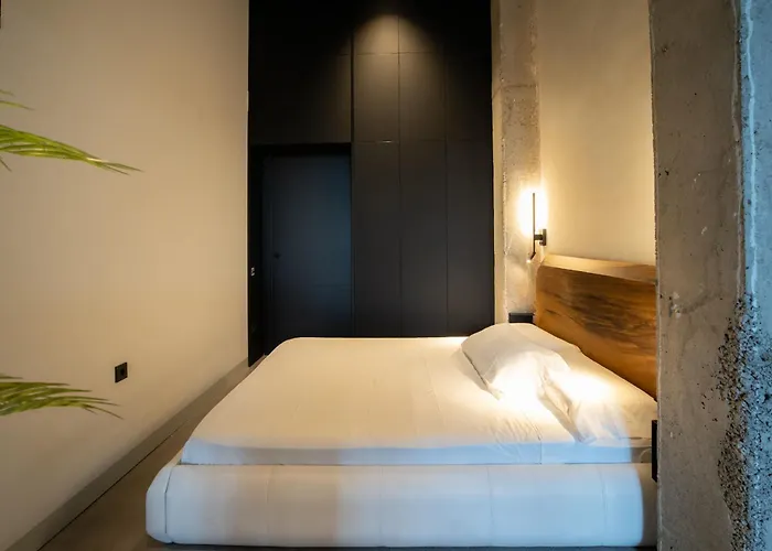 Crudo Un Loft Centrico De 50 M2 * Valencia